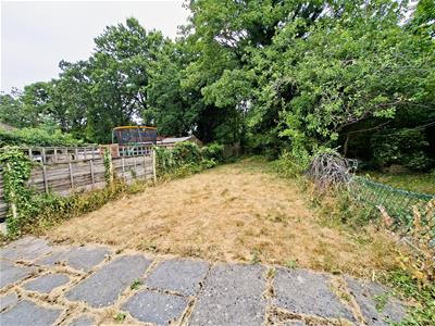 Picture 11